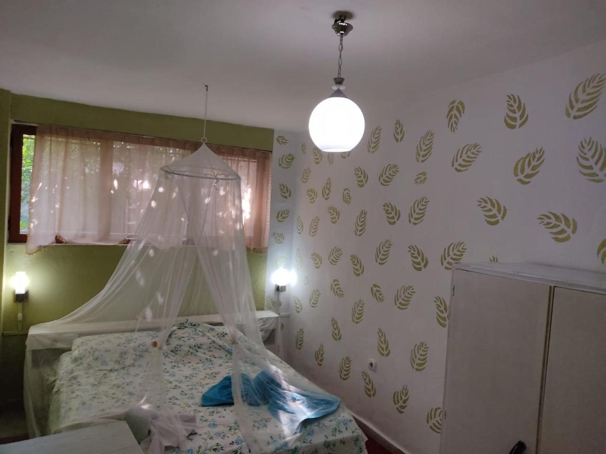 Private Apartment Elbasan Historic Center Exterior foto