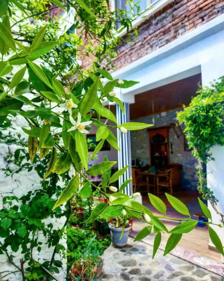 Private Apartment Elbasan Historic Center Exterior foto